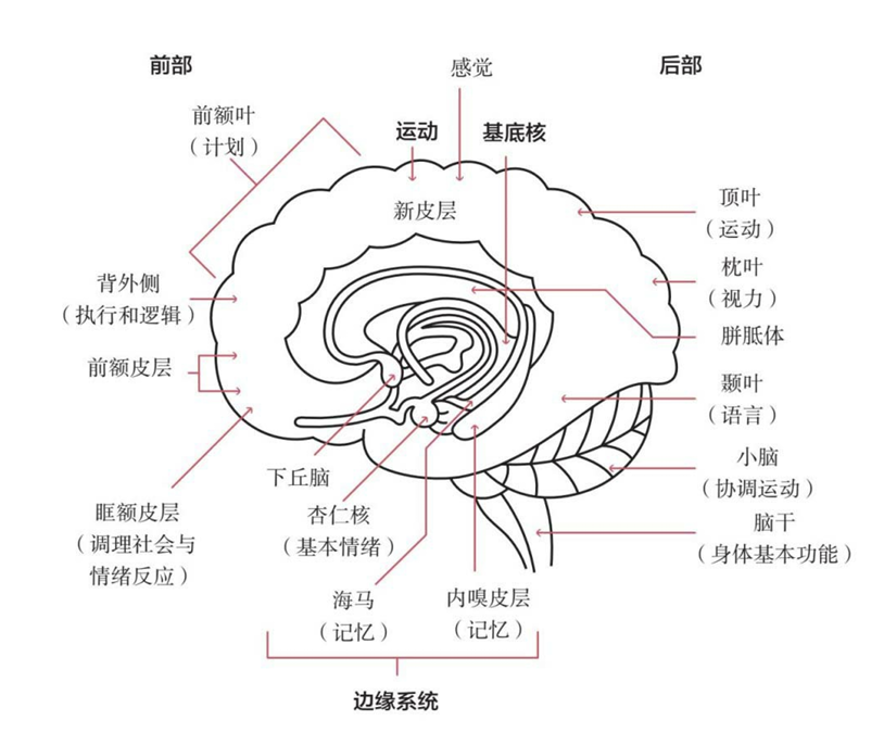 image-20241227080020683