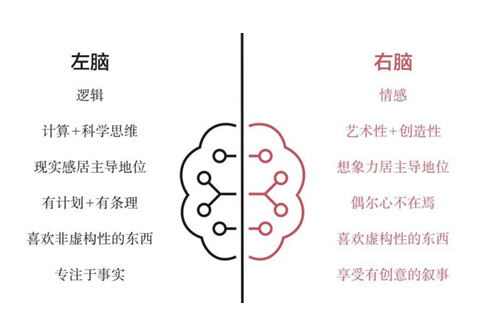 image-20241231080638284